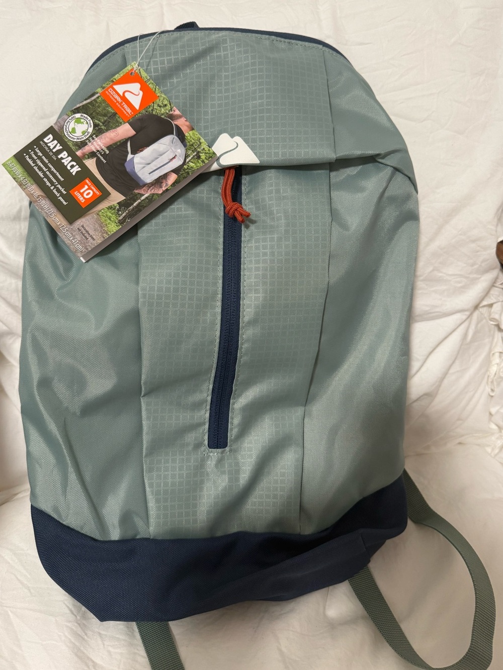 Day Pack Backpack - Light Green with Navy Base